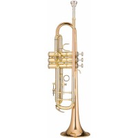 Ravel RTR102 Student Bb Trumpet   553406248